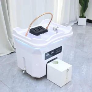 Head SPA Hydrotherapy Shampoo Basin